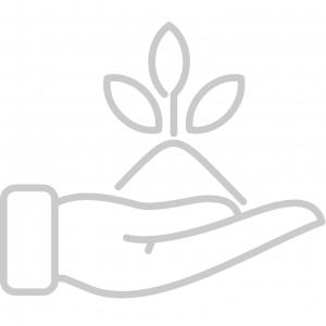 Icon of a hand holding a growing plant, symbolizing Local Root Marketing’s commitment to helping small businesses grow and thrive
